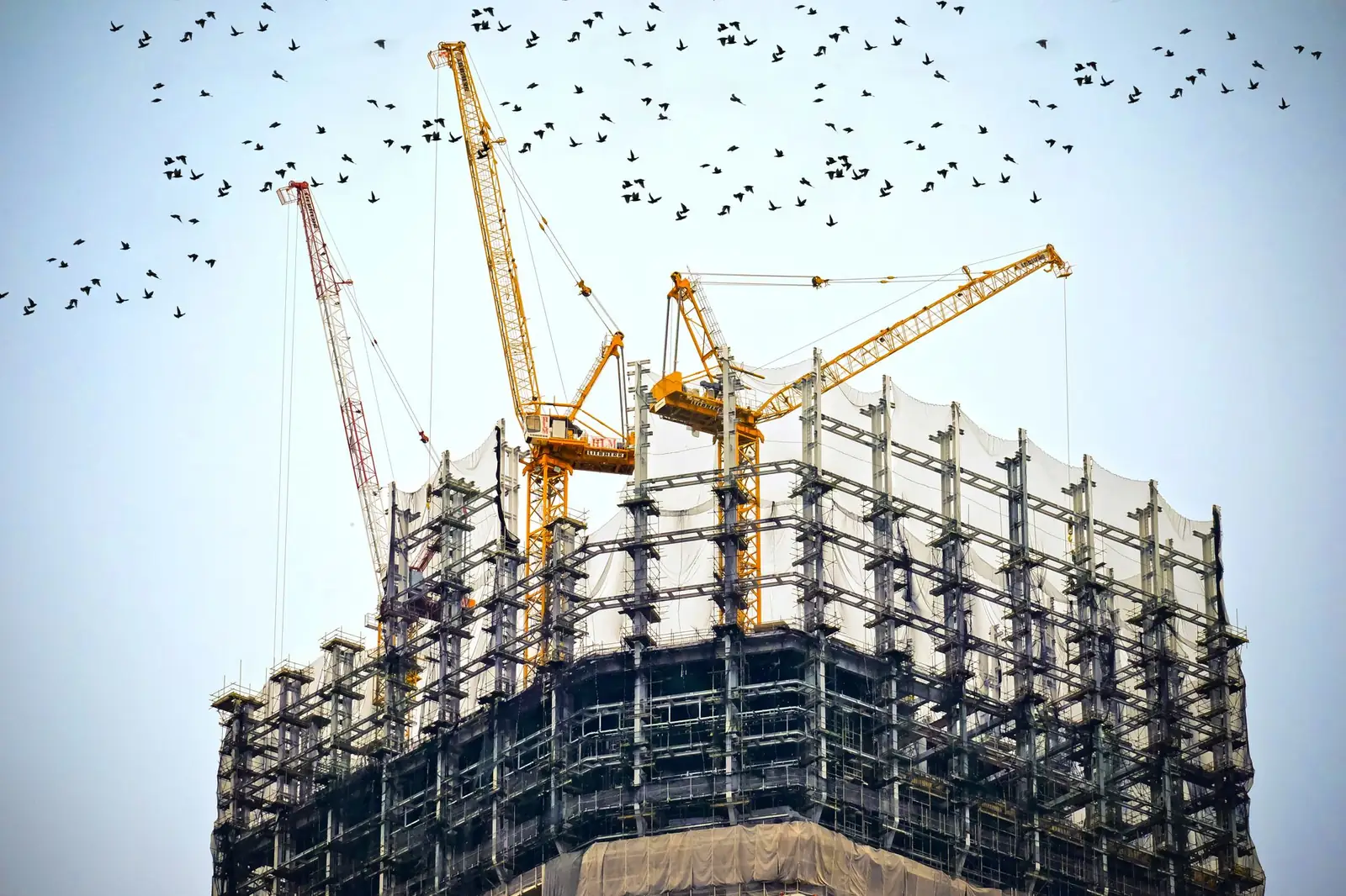 مشروع قيد التنفيذ